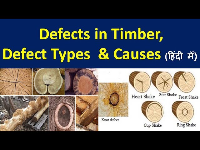 Defect in timber / Defect in wood / Types of Defect in timber / Causes of  Defect in timber / Timber - YouTube