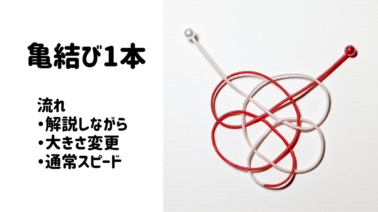水引 亀結び1本 #水引 #結び #mizuhiki #亀結び #Turtleknot