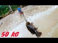 Compilation Shoot Giant Grouper 110 Lbs-Kumpulan Panah Kerapu Kertang Bumblebee Monster -+50 Kg