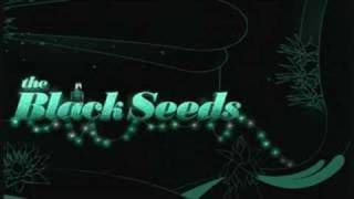 The Black Seeds - Take Your Chances