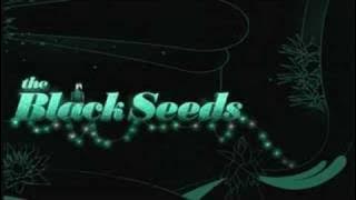 The Black Seeds - Take Your Chances