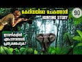 കെനിയയിലെ ചെകുത്താൻ!  | GHOST ELEPHANT | JULIUS MANUEL | HISSTORIES