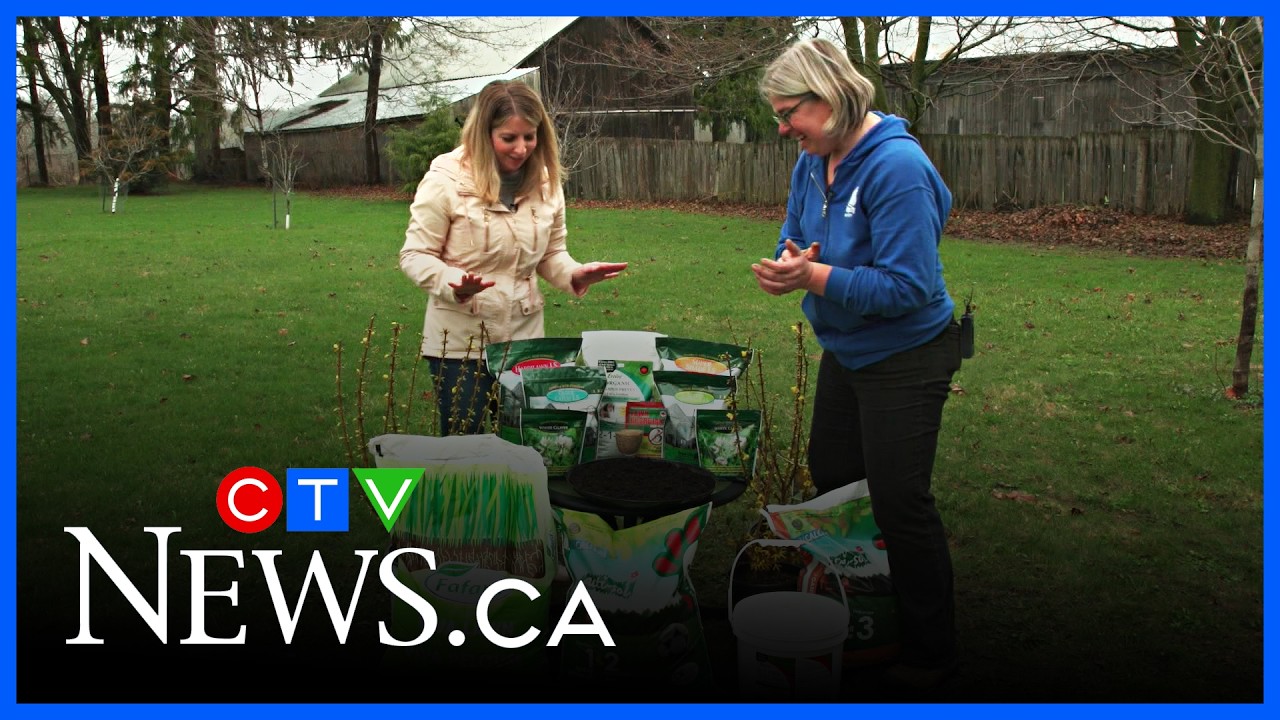 Get Growing: Creating a beautiful, lush lawn