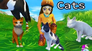 New Pet Cats Update Star Stable Online Horse Game Review Video