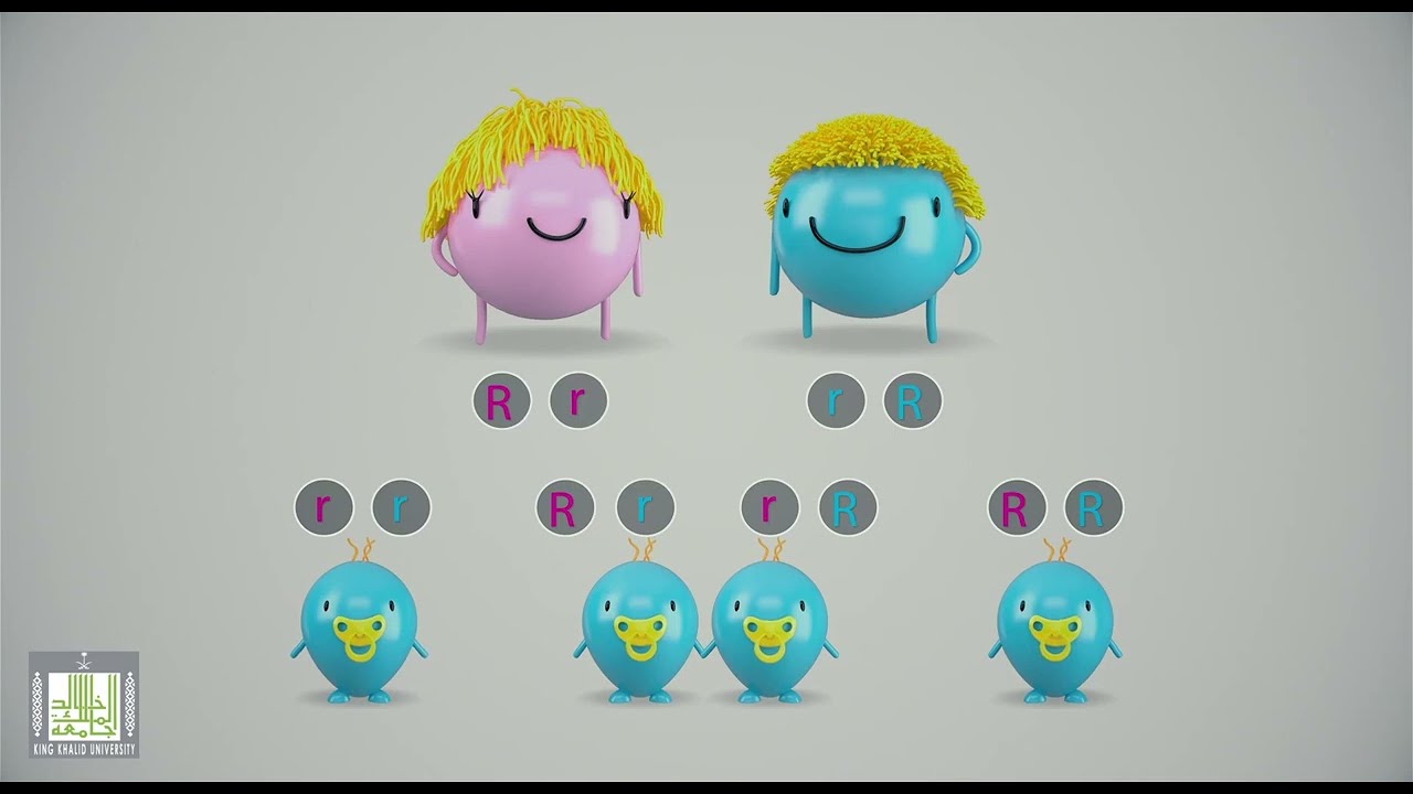 اساسيات الوراثة وتحديد شكل الابناء