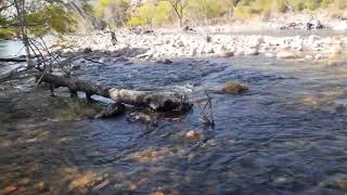 Exploring Headquarters Campsite and Kern River. 04/07/24