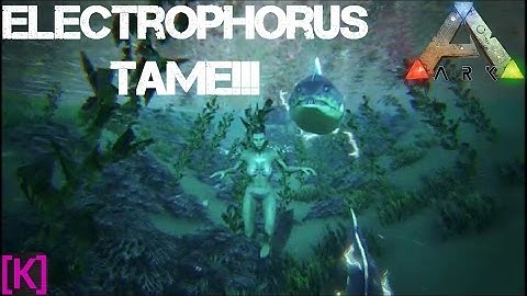 Ark Survival Evolved: Taming an Electrophorus!!!