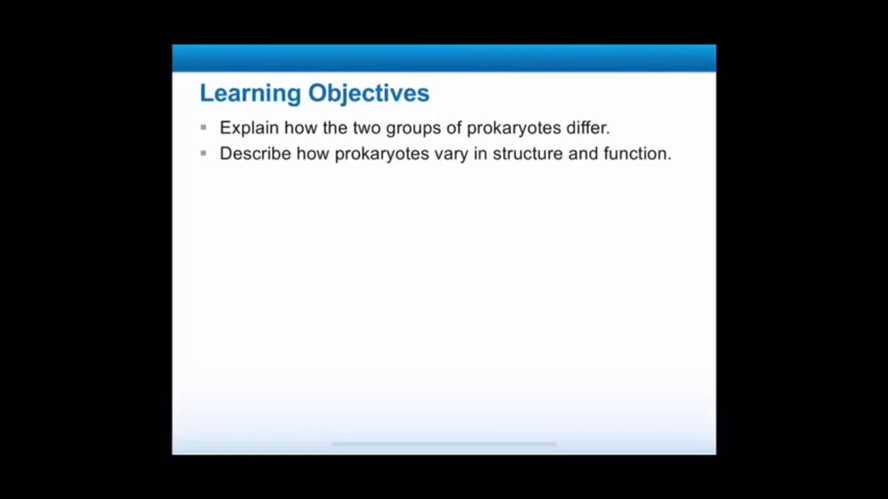 Prokaryotes