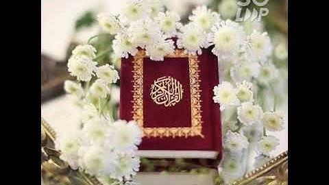 إِنَّ اللَّهَ وَمَلائِكَتَهُ يُصَلُّونَ عَلَى النَّبِيِّ  (القارئ هزاع البلوشي