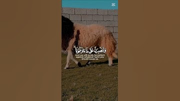 #اكسبلور #تلاوه_خاشعه #تيك_توك #المصحف #duet #القران_الكريم #ترند #دويتو #لايك