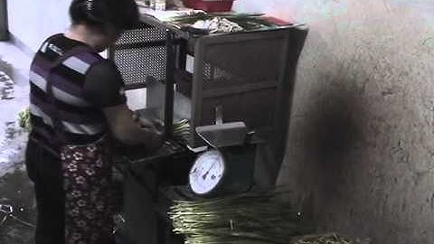 Chang Yong Automatic Tying Machine for vegetables