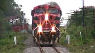 Ferromex: Trenes en el Campo - San Jacinto - Jalisco 2012 - Distrito La Barca