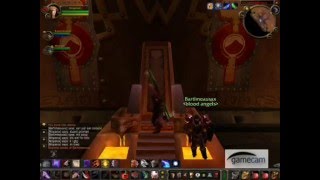 WoWscape raid