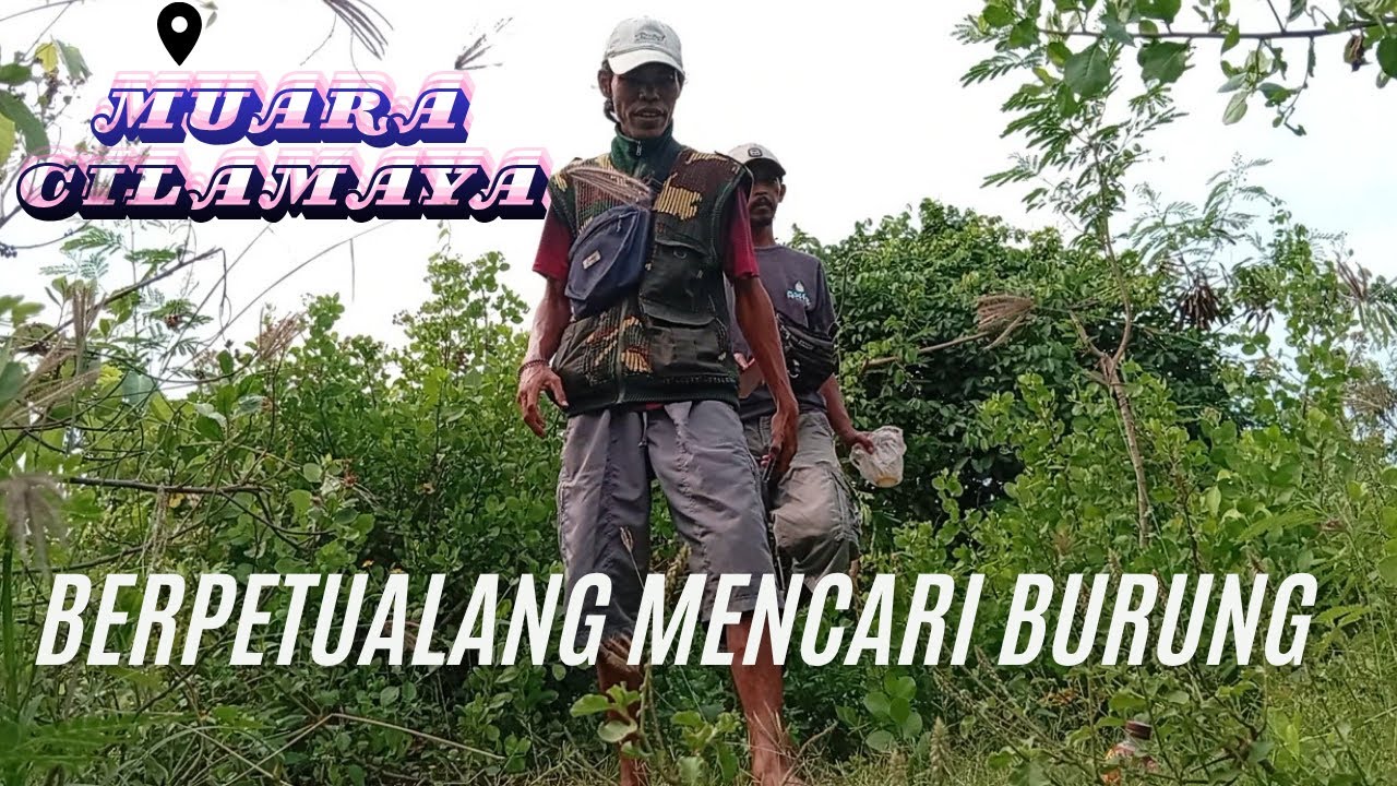 GAGAL DRAMATIS 😭❗ Burung Langka 🐦Muara Cilamaya Lepas Lagi Setelah Hampir Tertangkap❗ (Bikin Nyesek)