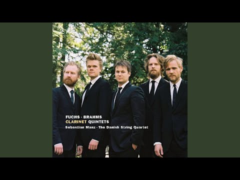 Brahms: Clarinet Quintet in B Minor, Op. 115: IV. Con moto
