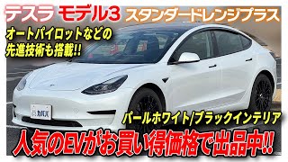 テスラ モデル3 ハイランド 専用オートパイロット輔助デバイス