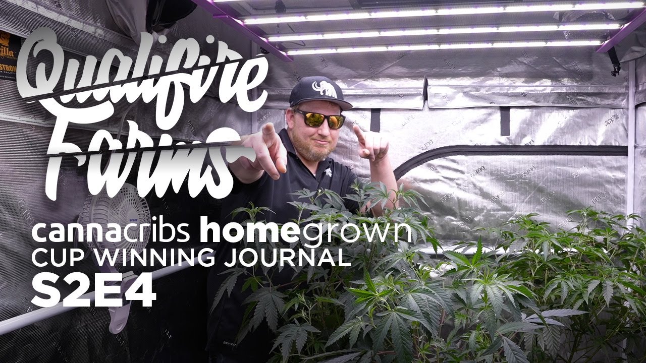 Как управлять вегетативным ростом