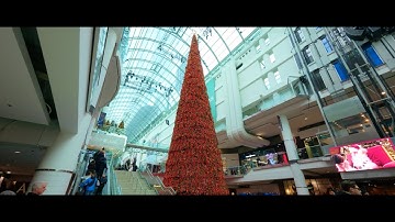 Downtown Toronto I Shoot on DJI Osmo Action 5 Pro