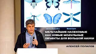 картинка: Алексей Полилов. Мельчайшие насекомые как новые модульные объекты для большой науки