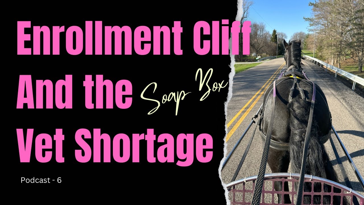 The Impending Veterinary Crisis: Exploring the Reality from Our Hobby Farm