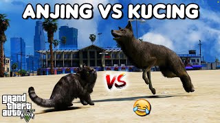 Download Lagu HERBIVORA VS KARNIVORA - GTA 5 ROLEPLAY MP3 Download Lagu HERBIVORA VS KARNIVORA - GTA 5 ROLEPLAY MP3