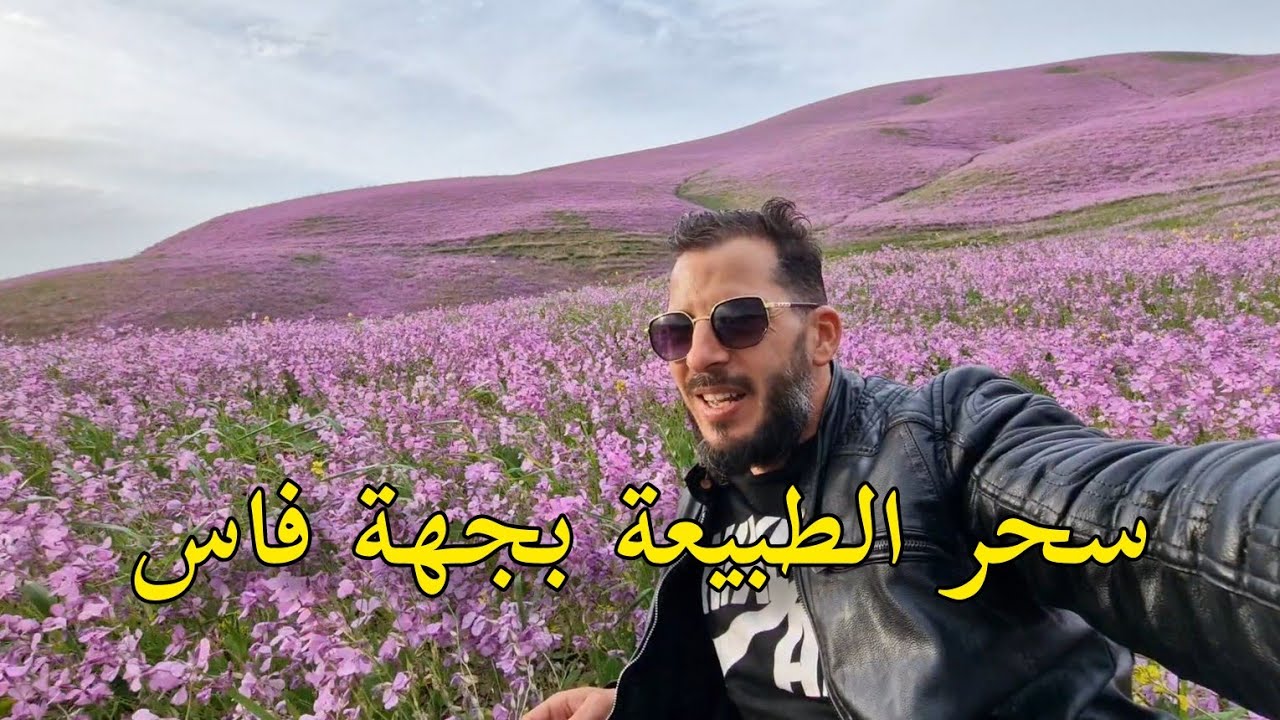 طريق فاس اكتشاف سحر الطبيعة بين الجبال والوديان