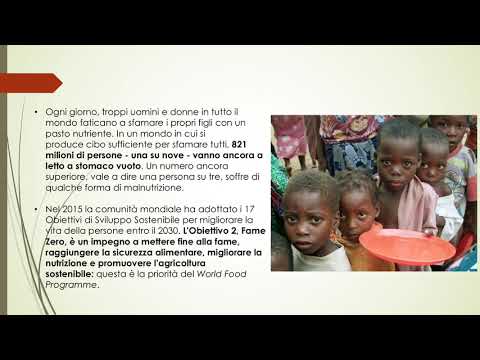 Video: Globální Agenda K Vyjádření Zpráv