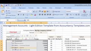 Management Accounts - Light version