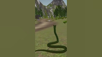 Snake Game | Snake io Game | New Skin Unlocked | Snake.io Game #Gameplay EP:-2