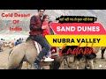 Sand dunes of hunder  camel ride in nubra valley  sand dunes nubra valley   nubra valley