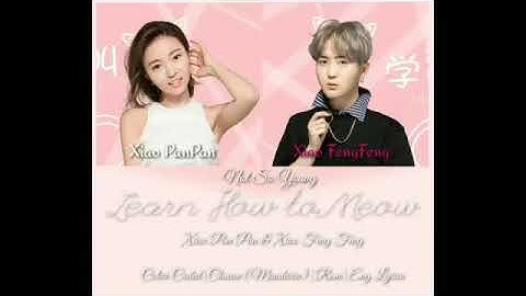 Xiao PanPan Xiao Fengfeng Learn to Meow Color Coded Lyrics Chinese Mandarin Rom Eng Lyrics