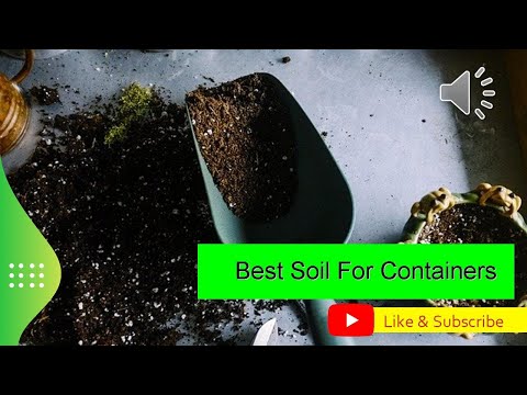 Best Soil For Containers - Gardening Made Simple