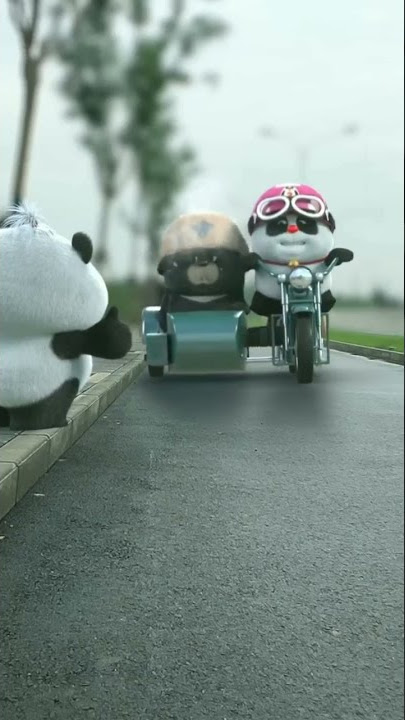 bamboo panda short #shortvideo #shortsbeta #shortsfeed #shorts #jutawan