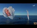 Capsule carrying 2 NASA astronauts stranded in space for approximately 9 months returns to earth
