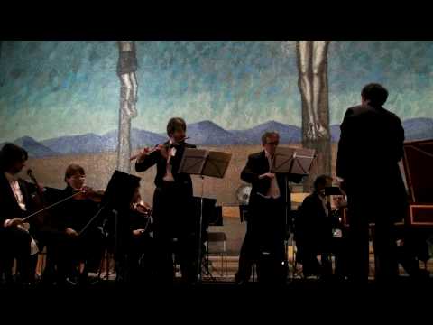 Bach Brandenburg Concerto 5 - 1 mvt.