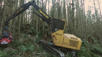 Thomassen Logging 055 June 2018