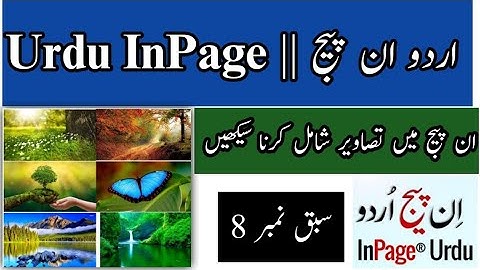 How To Insert Pictures in InPage | Add images in inpage | urdu inpage full free course