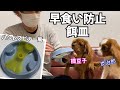 キャバリア【早食い防止フードボウル】