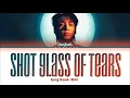 Jungkook (정국) &#39;Shot Glass of Tears&#39; Lyrics