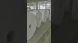 Why some paper cup manufacturers consistently win in a highly competitive market?
