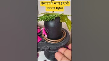 बेलपत्र के साथ 3 शमी पत्र का महत्व #pandit_pradeep_ji_mishra #shivmahapuran #mahadev #shivling #shiv