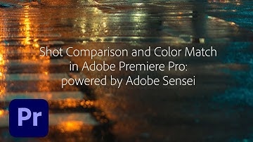 Shot Comparison & Color Match in Premiere Pro (12.1) | Adobe Creative Cloud