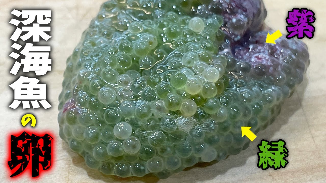 食感がとんでもない奇妙な色の卵が凄かった