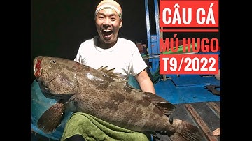 Câu Cá Biển - CÂU CÁ MÚ HUGO | CHUYẾN CÂU NGÀY 15-9-2022 - Jigging Phú Yên - Alo Fishing