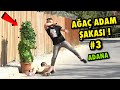 ADANA’DA AĞAÇ ADAM ŞAKASI ! (%100 KALP KRİZİ)