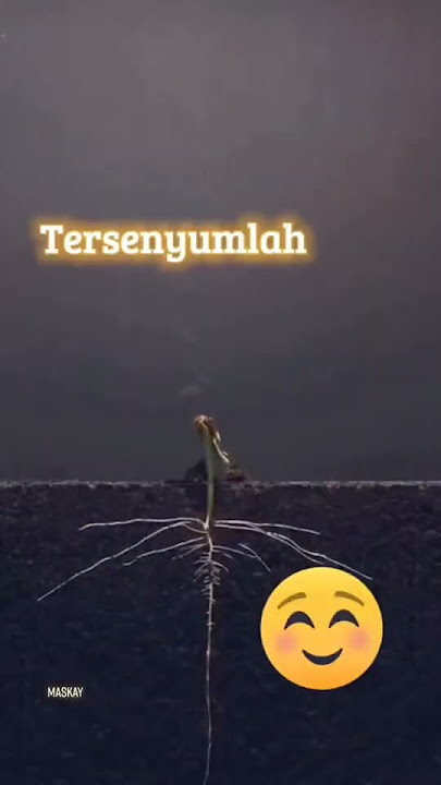 Kata-kata Bijak Terbaik GUS MIFTAH Yang Sangat Berarti