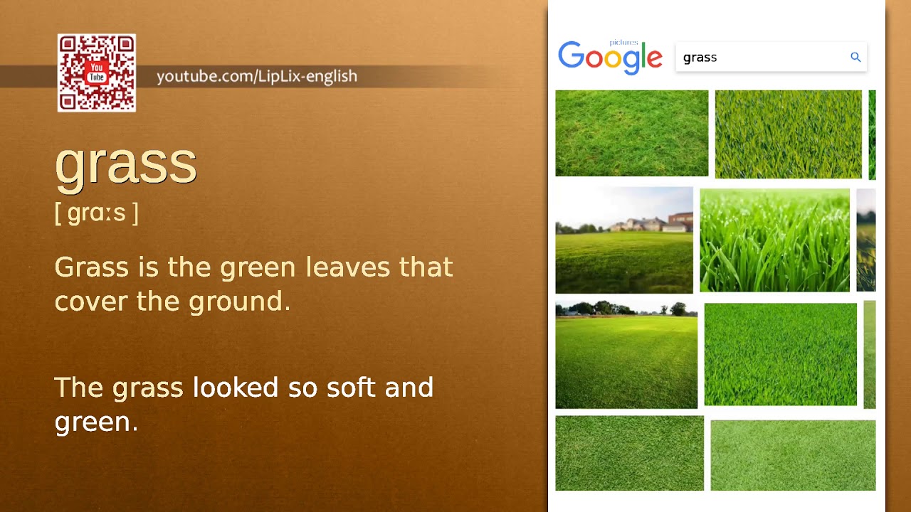 Grass : A1 level english vocabulary lesson, www.LipLix.com - YouTube