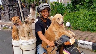 BALI CANGGU DOG GUY  FULL STORY