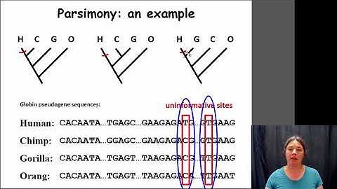 Parsimony