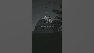 تلاوه خاشعه ارح قلبك وسمعك الشيخ ماهر المعيقلي حالات واتس اب